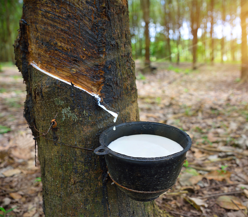 NATURAL RUBBER